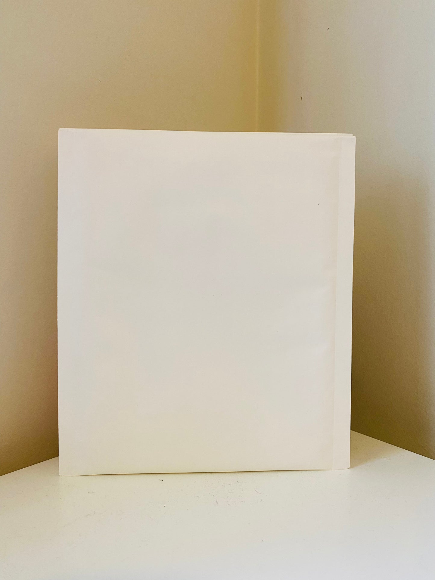 10PCS Bubble Mailer Self-Sealed Padded Envelope Plain White Kraft Paper Mailing Bags