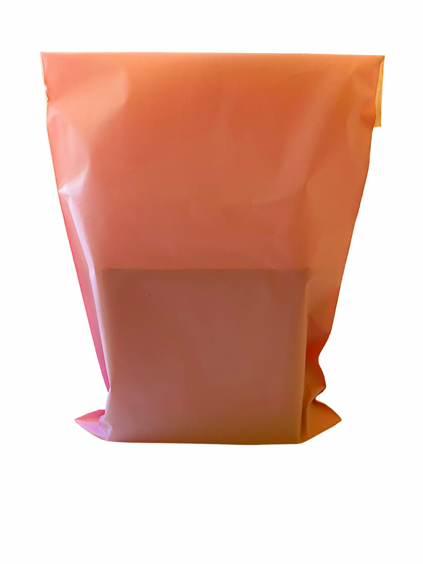 Biodegradable and Compostable Satchels - 100PCS