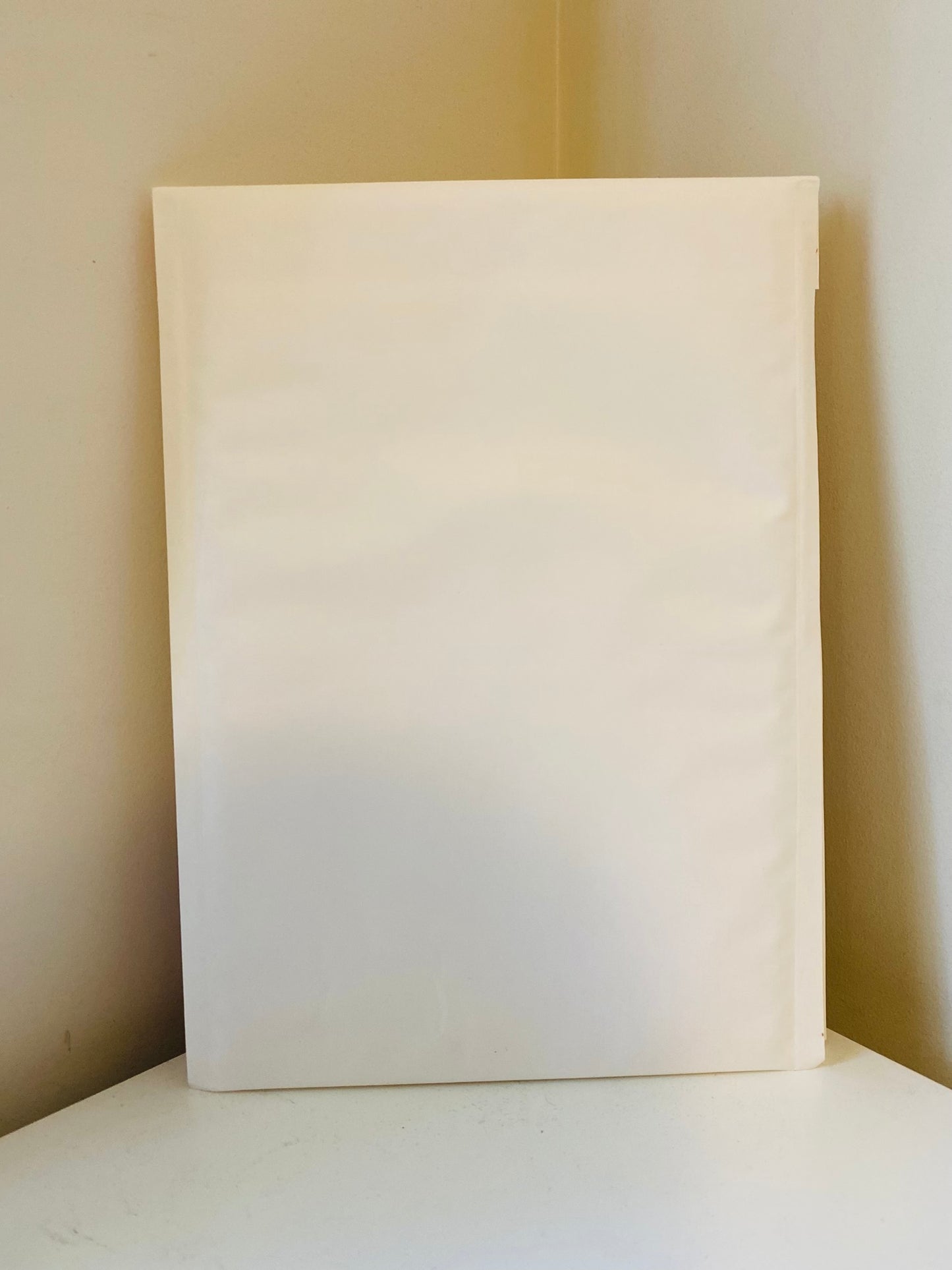 10PCS Bubble Mailer Self-Sealed Padded Envelope Plain White Kraft Paper Mailing Bags