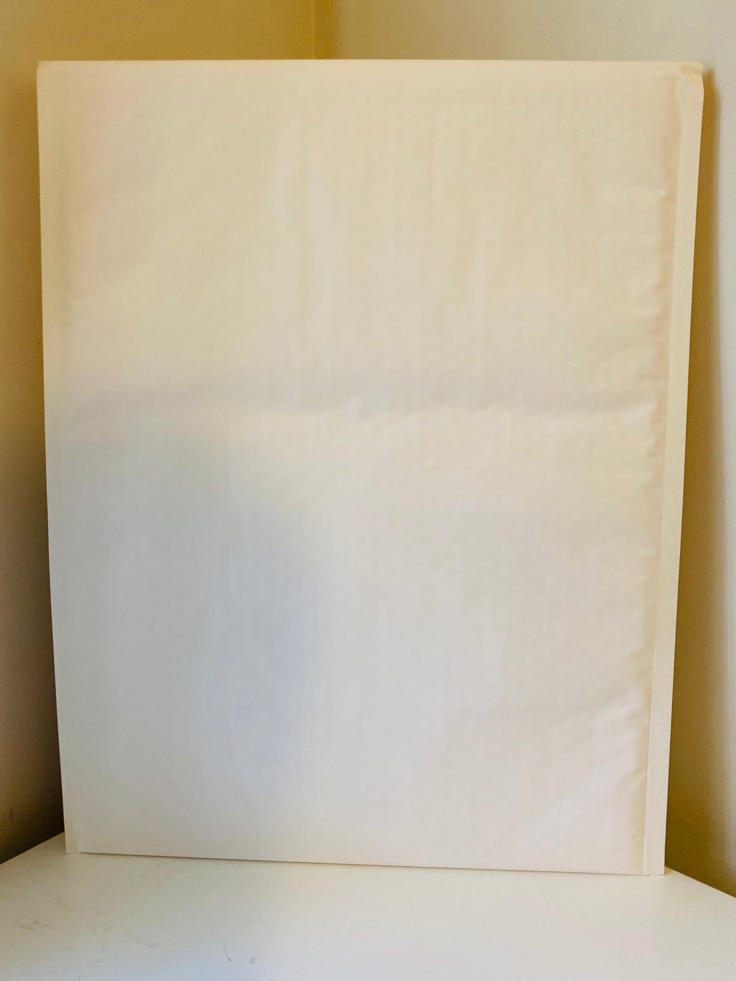 10PCS Bubble Mailer Self-Sealed Padded Envelope Plain White Kraft Paper Mailing Bags